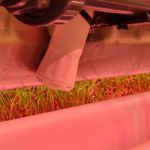 Sponsored Content: Sensors help optimise growing conditions underground