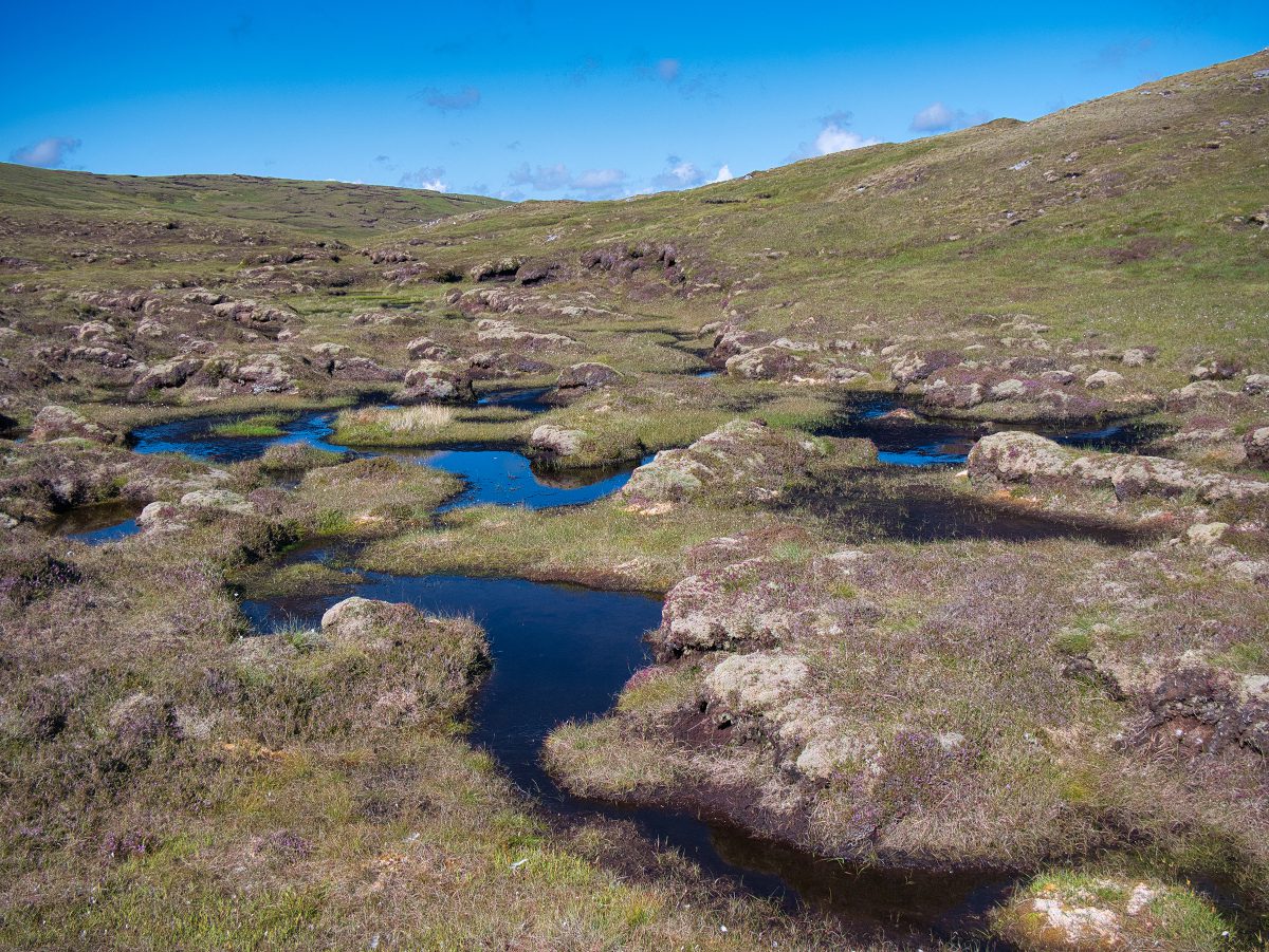 peatlands-Shetland