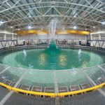 Making a splash: Group prepares to launch novel wave energy system