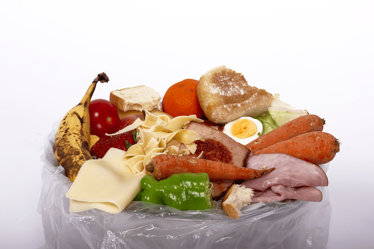 Photograph of various vegetables, meats and bread in waste bin. 