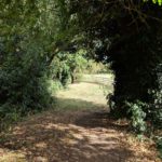 New green infrastructure framework “is an opportunity to brighten millions of lives”