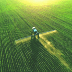 Environmental impact of common pesticides seriously underestimated, finds research