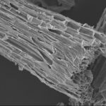 Biorefinery handles recycle-resistant plant waste