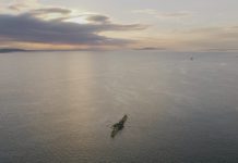 Tidal and wave energy could contribute £8 billion to the economy