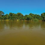 Brazilian group presents novel method of analyzing microplastic pollution