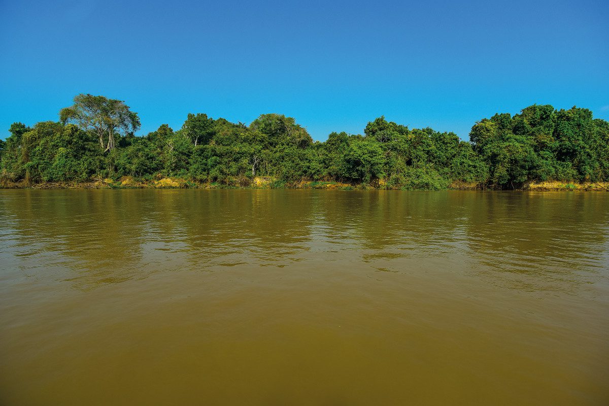 River-in-Pantanal-Brazil