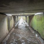 Ofwat and the EA must go further: Lords’ report on sewage pollution welcomed by river observers