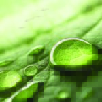 Light trapped in a water droplet could help measure pollutants