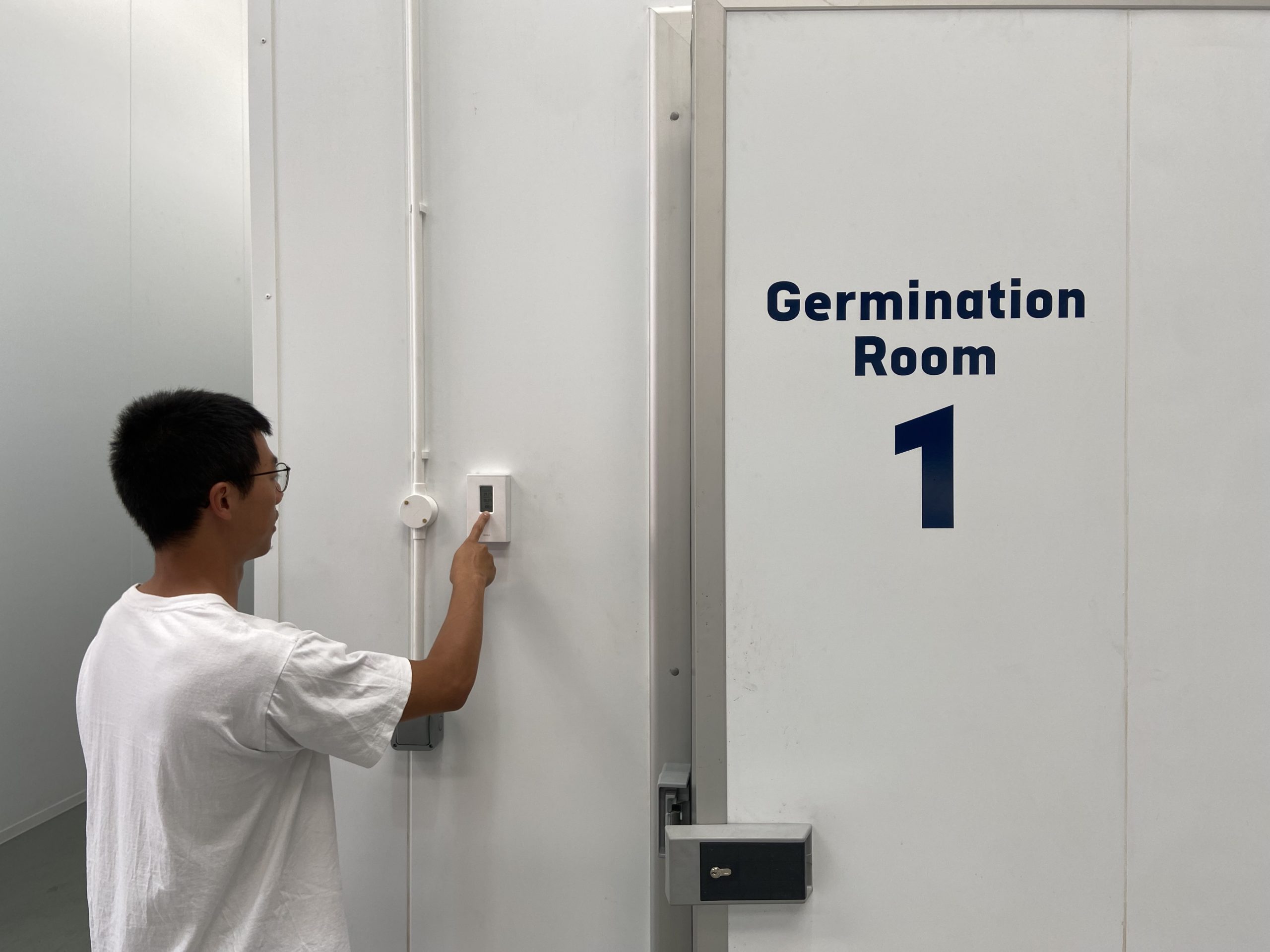 germination room