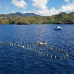 Funding for large-scale carbon removal via “aquafarming”