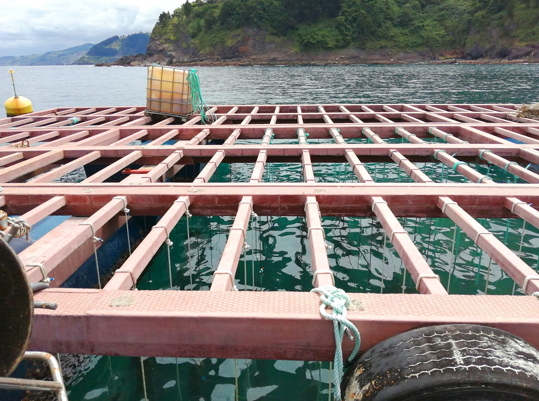 bio ropes in seafood cultivation