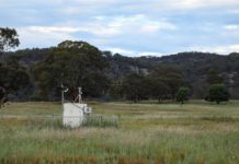Gene silo: The DNA collection of air quality monitoring stations has been a useful accident
