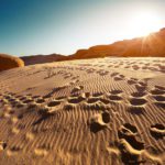 Podcast explores how responsible dredging might regreen deserts