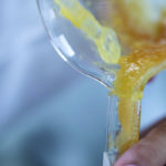 A fat load of good? Sourcing feedstocks for aviation biofuels looks not-so-simple