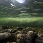 Striving for environmental balance: nutrient neutrality to futureproof the development pipeline