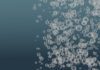 Dual-bubble process removes over 90% of wastewater microplastics