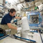 Space travel depletes red blood cells and bone, but bone marrow fat may come to the rescue