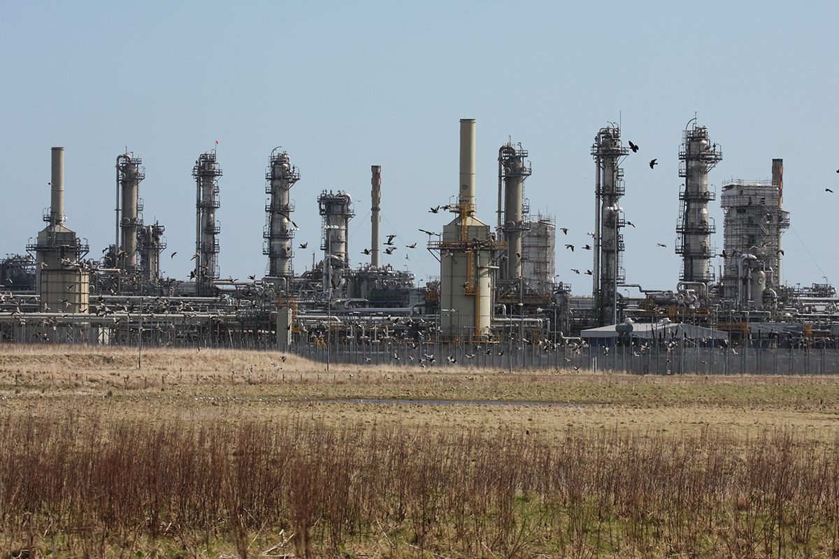 Read more about the article Lots of of refinery employees down instruments over security considerations in Fife