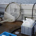 Biosurfactants might offer an environmentally friendly solution for tackling oil spills