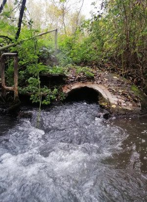 acque reflue scaricate in un ruscello