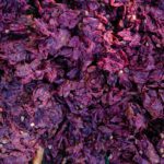 Tannins: A possible answer to microplastic pollution?