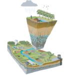 Farmers and local knowledge critical to stewardship of Earth’s life support systems, says UK-China study