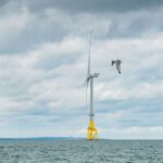First-of-its-kind AI technology will record 3d flight of seabirds near wind farms in Aberdeen