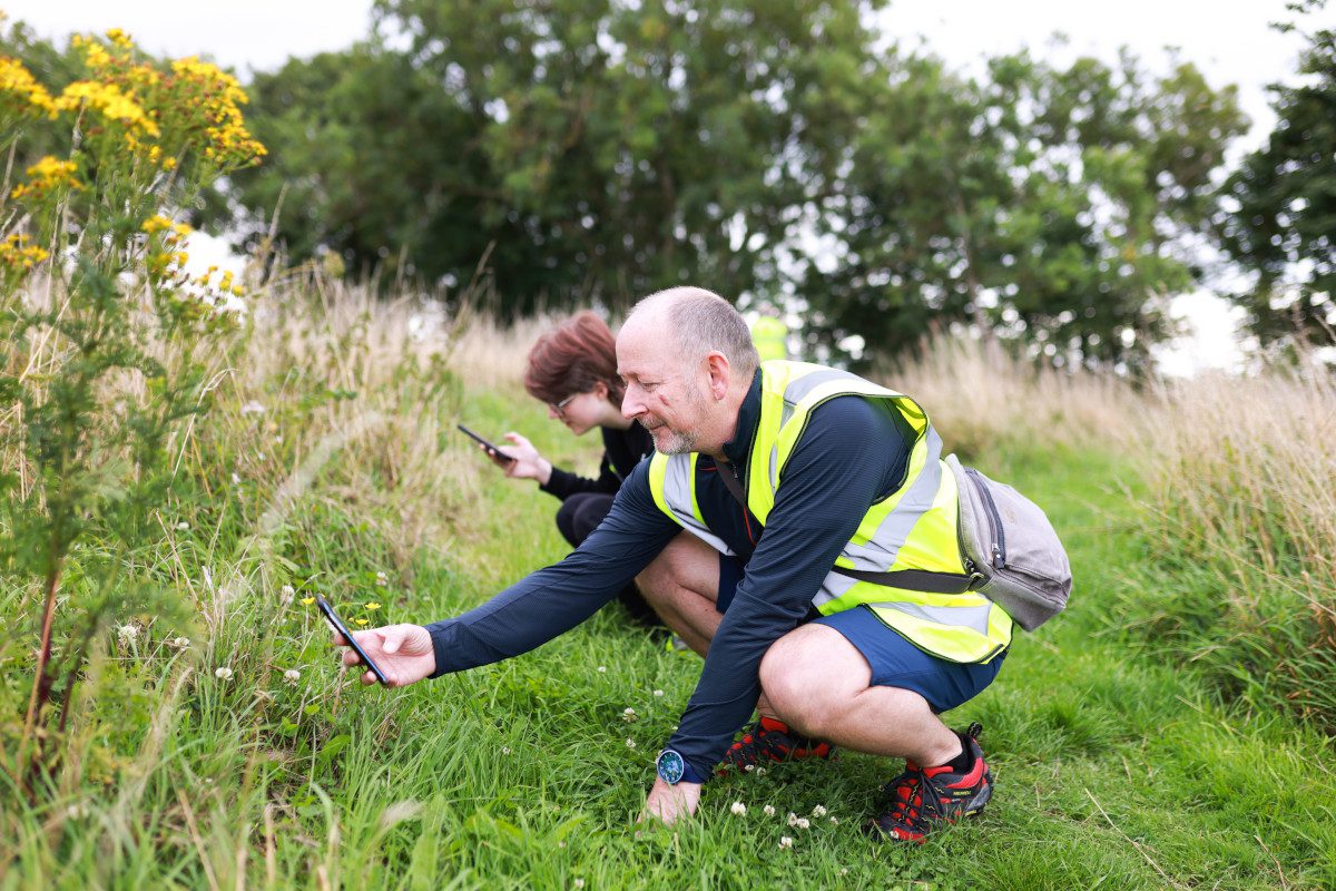 Read more about the article Pioneering pollinators mission launches in Devon