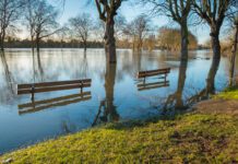 Flooding victims need single trusted line to expert help and clear accountability, MPs recommend