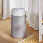 Can air purifiers help with bed bugs and other parasites?