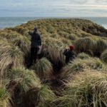 Defra funds project to sequester carbon in peatlands of the Falklands