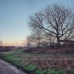 Government announces strengthened Environmental Improvement Plan