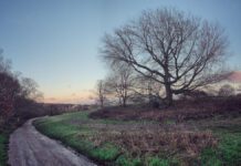 Government announces strengthened Environmental Improvement Plan