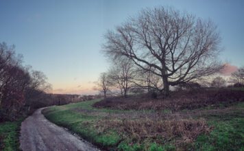 Government announces strengthened Environmental Improvement Plan