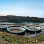 The rise of on-farm AD: Seven benefits of biogas