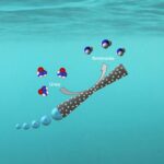 Novel system uses micromotors to purify wastewater, generating energy