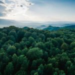 Comment: how accessible carbon credits can drive progress towards Net Zero