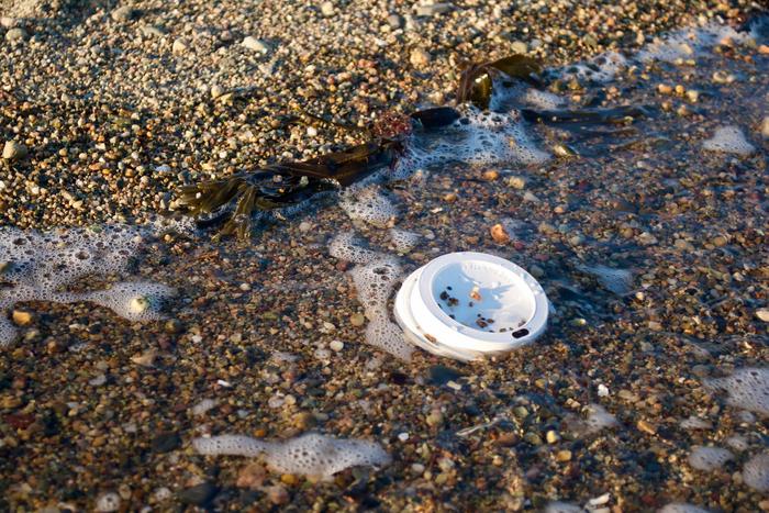 در نظر گرفتن ماندگاری پلاستیک می تواند اثرات زیست محیطی را به حداقل برساند