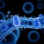 Novel biomembranes project receives €3m Pathfinder grant