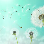 From nuclear decommissioning to drone design, engineers are taking inspiration from nature