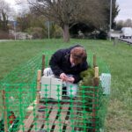 Air pollution and trees study overturns “rough and hairy is good” dictum