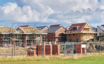 BNG reforms not as drastic as feared, but still significantly weaken nature protections