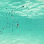 Comment: Agriculture and pharma key to solving micropollutants problem