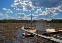Pristine peatland offers glimpse into pre-industrial atmosphere