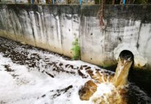 Environmental regulation system “not working as well as it should”, warns Public Accounts Committee