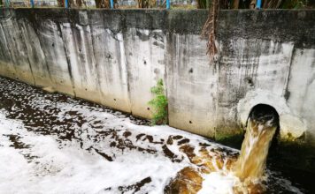 Environmental regulation system “not working as well as it should”, warns Public Accounts Committee