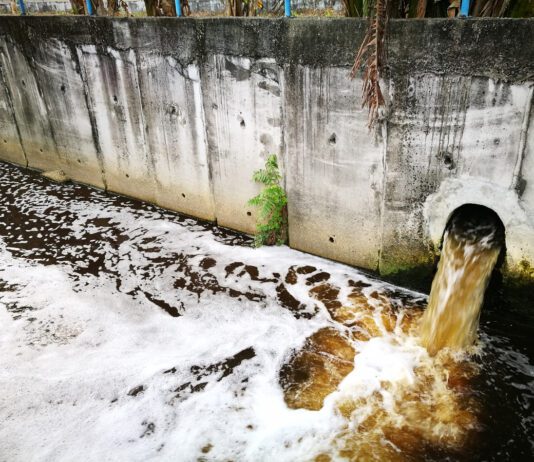 Environmental regulation system “not working as well as it should”, warns Public Accounts Committee