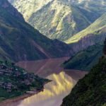 40 tonnes of bee-harming neonics a year flow through Asia’s longest river