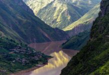 40 tonnes of bee-harming neonics a year flow through Asia’s longest river