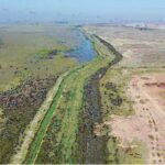 New Environment Agency excavation unearths Roman taste for oysters